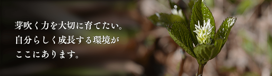 芽吹く力を大切に育てたい。自分らしく成長する環境がここにはあります。